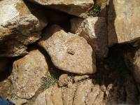 Youri - Ecrins 2005 371 